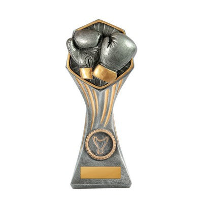 Gladiator Series-Boxing