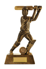 All Action Hero-Batsman
