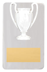 Metal Achievement Plaque 150mm