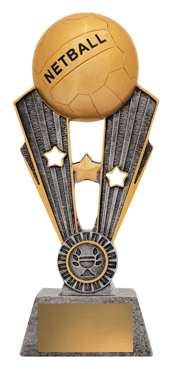 Netball Fame 245mm