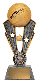 Netball Fame 245mm