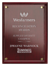 Advantage Acrylic - Rosewood 300mm