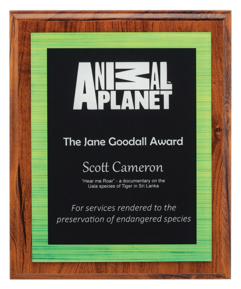 Vivid Green Plaque 250mm