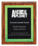 Vivid Green Plaque 250mm