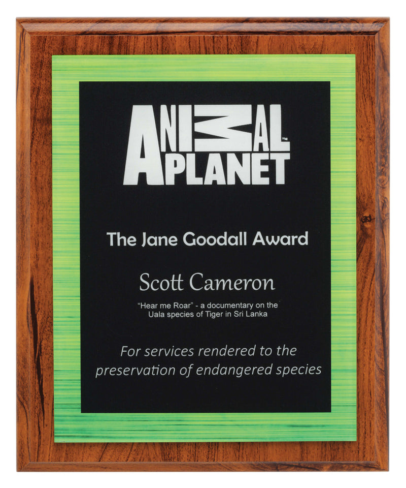 Vivid Plaque - Green Vivid AcrylicG