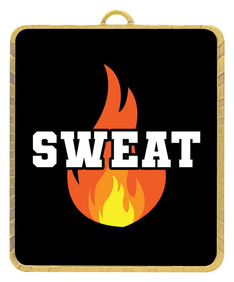 Lynx Medal - Sweat Gold