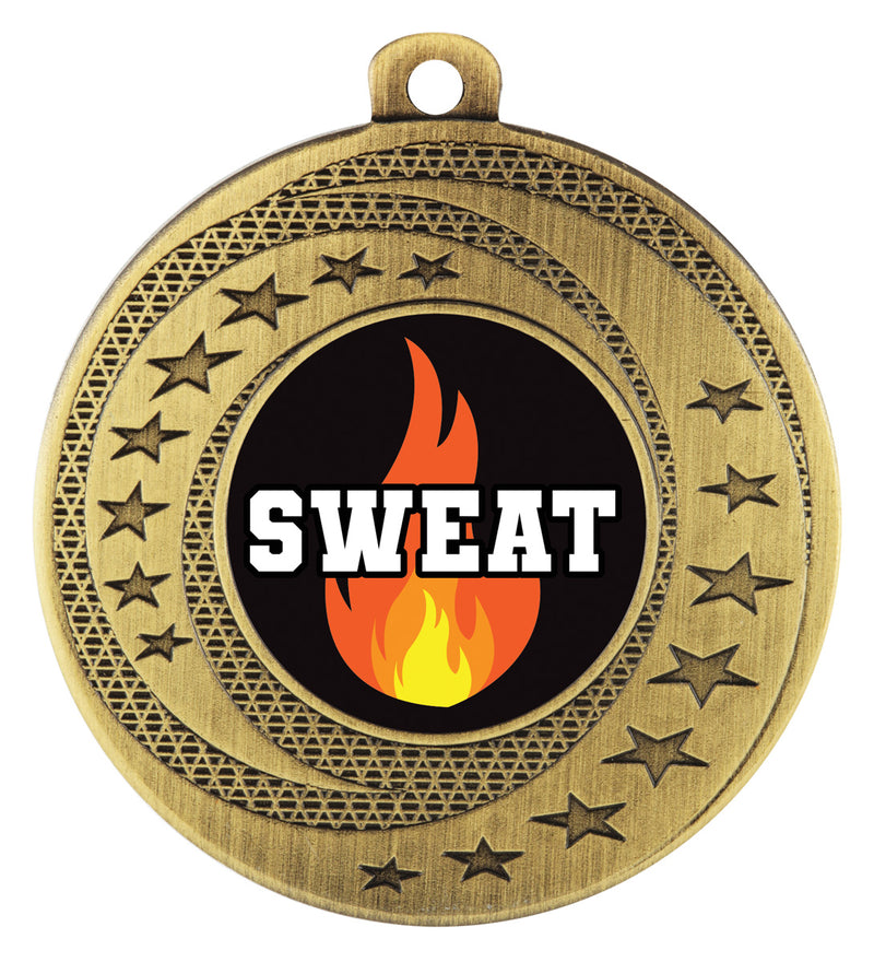 Wayfare - Sweat Training Gold