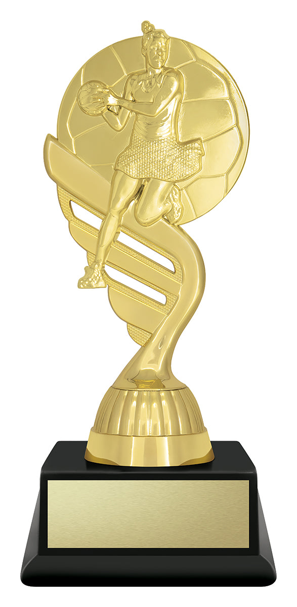 Budget Gold - Netball 160mm