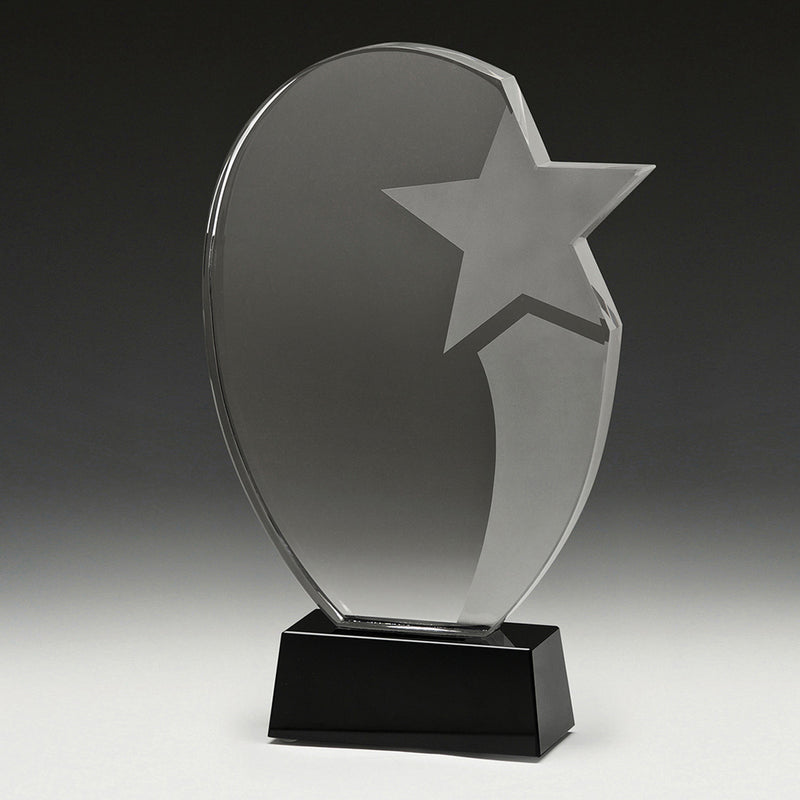 Recognition Star Recognition Star 260mm