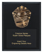 Cosmos Super Plaque - Academic 225mm