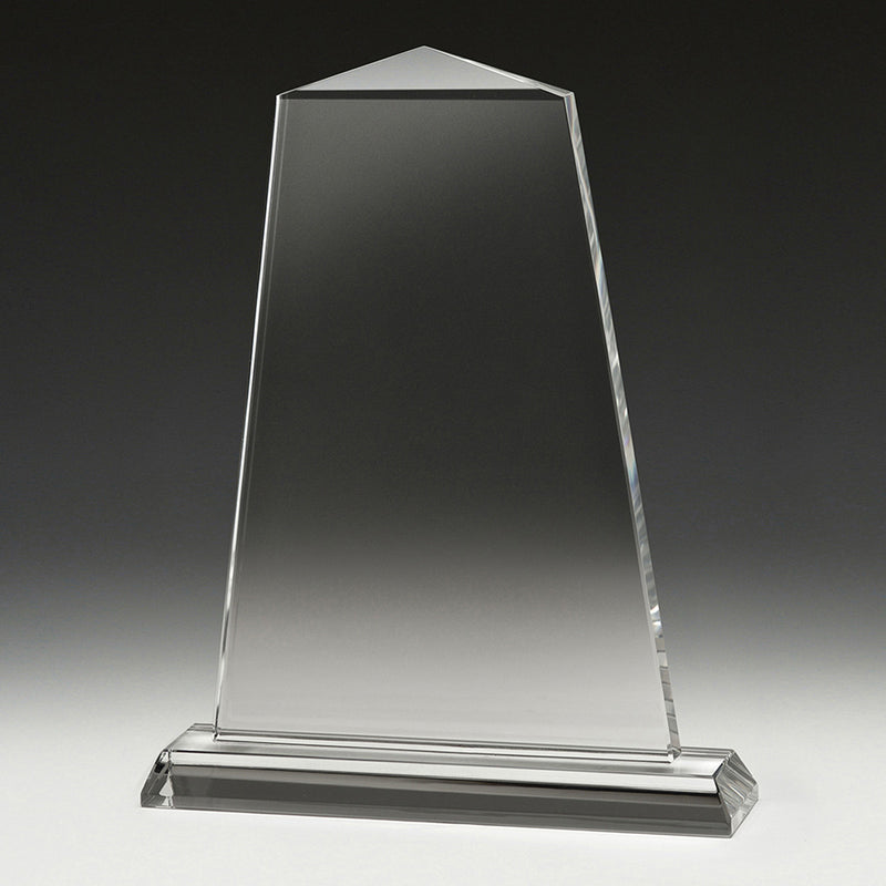 Tribute Award 200mm
