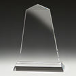 Tribute Award 200mm