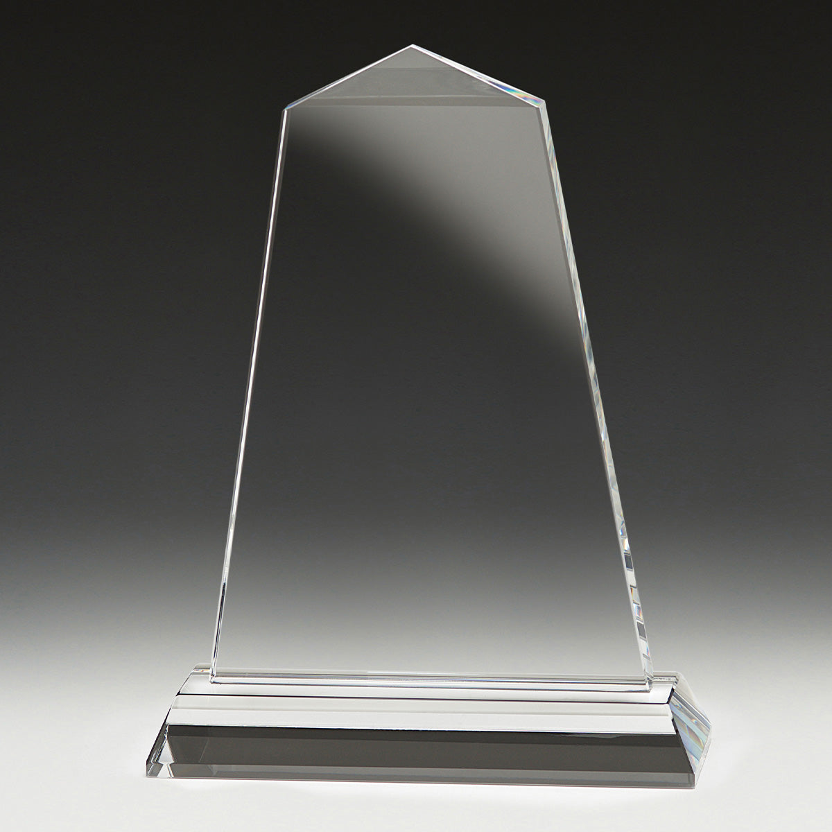 Tribute Award 200mm