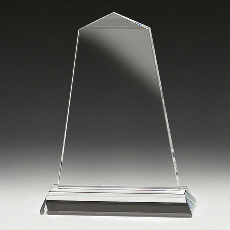 Tribute Award 200mm