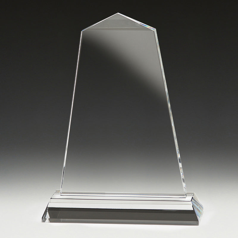 Tribute Award 200mm