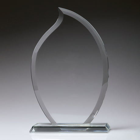 Torch Award 195mm