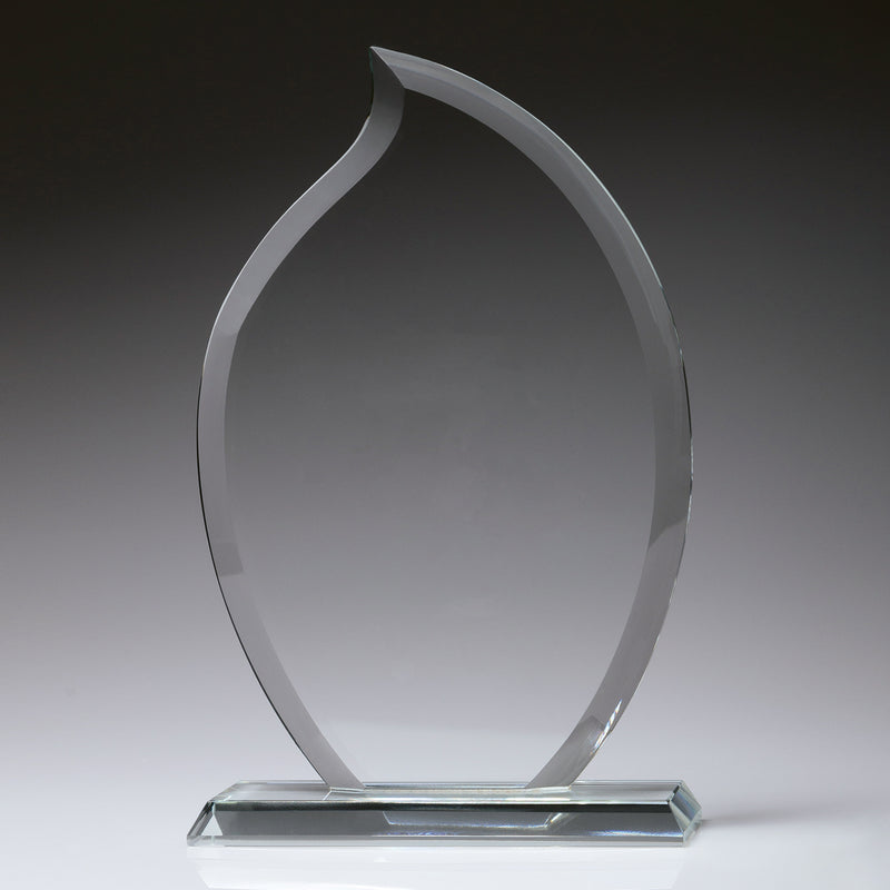 Torch Award 195mm