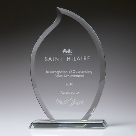 Torch Award 195mm