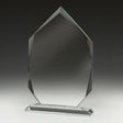 Integrity Arrowhead 180mm