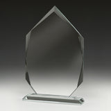 Integrity Arrowhead 180mm