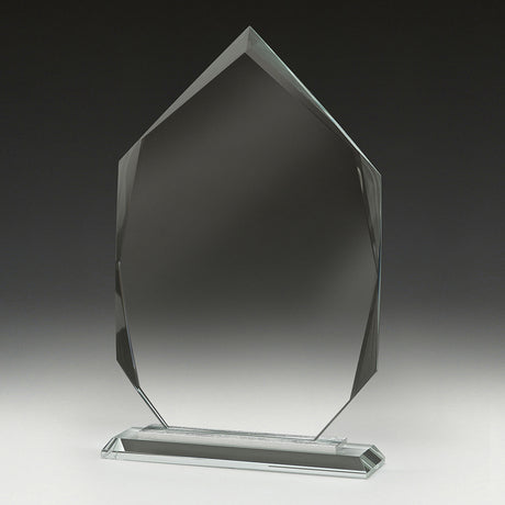 Integrity Arrowhead 180mm