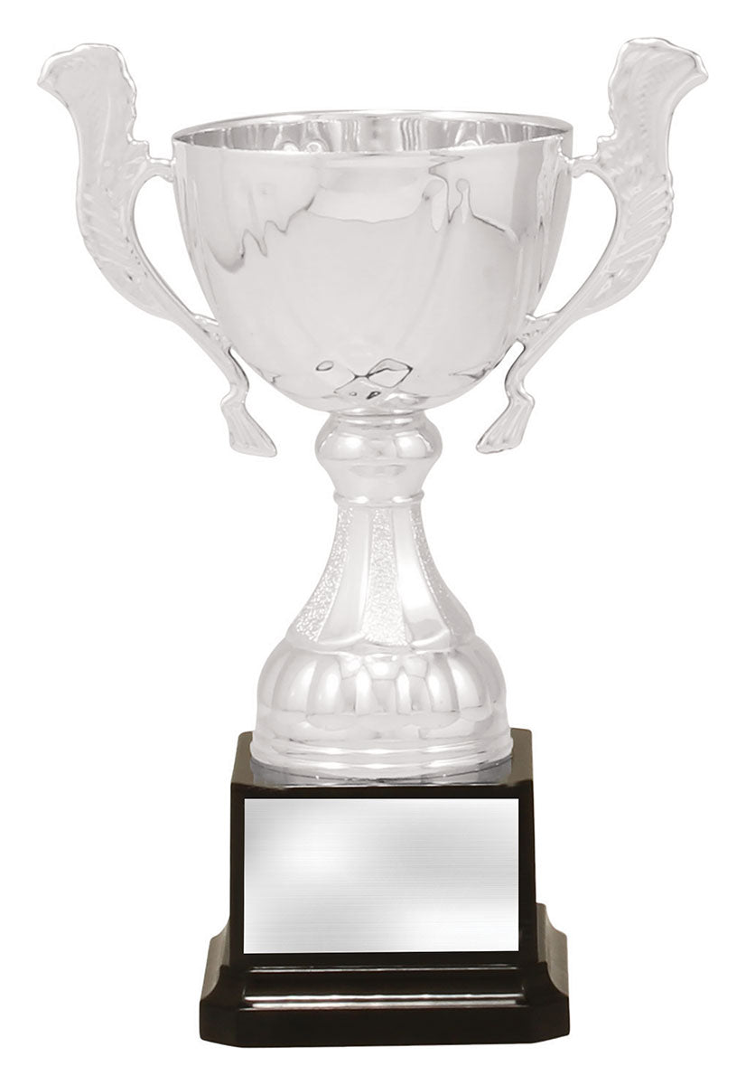 Silver Turin 200mm