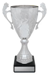 Silver Eternal Cups 230mm