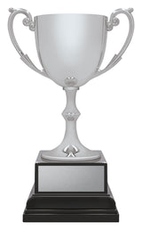 Ace Recognition Silver 185mm