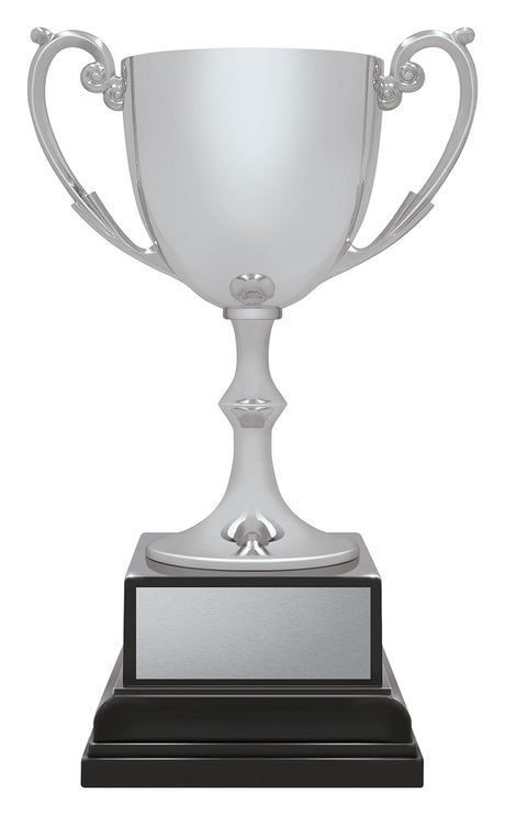 Ace Recognition Silver 185mm