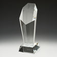 Endurance Award 185mm