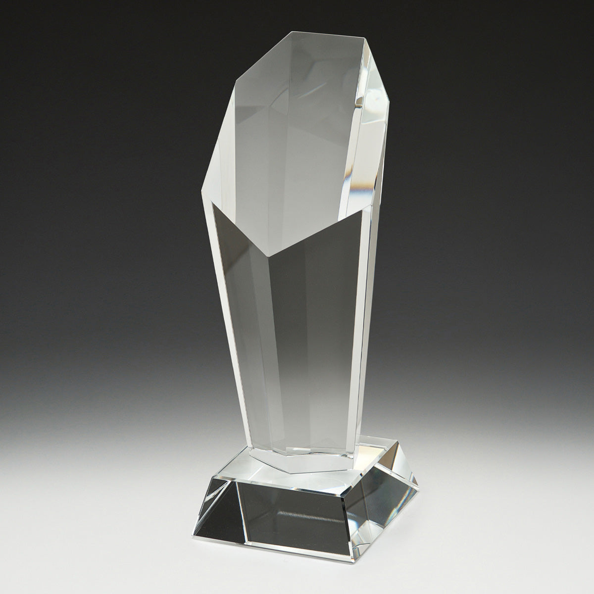 Endurance Award 185mm