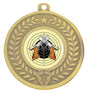 Distinction - Shooting Gold
