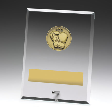 Glass Plaques - Boxing 200mm