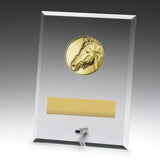 Glass Plaques - Horse 175mm