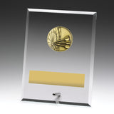 Glass Plaques - Darts 200mm