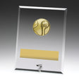 Glass Plaques - Water Polo 200mm