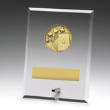 Glass Plaques - Cards 175mm