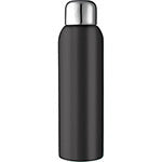Stainless Sports Bottle