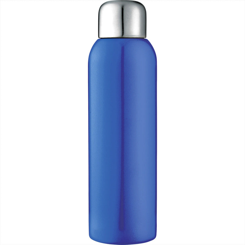 Stainless Sports Bottle