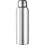 Stainless Sports Bottle