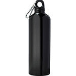 Aluminum Sports Bottle