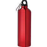 Aluminum Sports Bottle