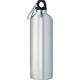 Aluminum Sports Bottle
