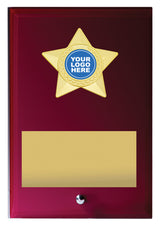 Star Plaque 175mm
