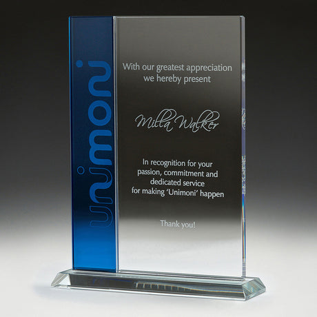 Vision Glass 165mm