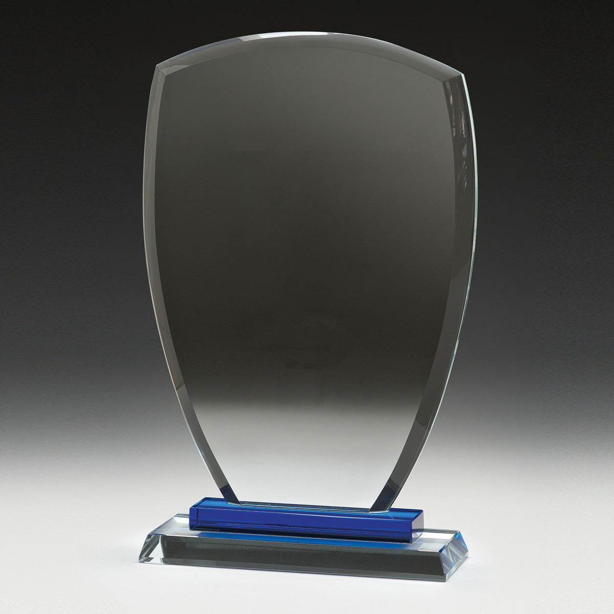 Blue Shield Award 185mm