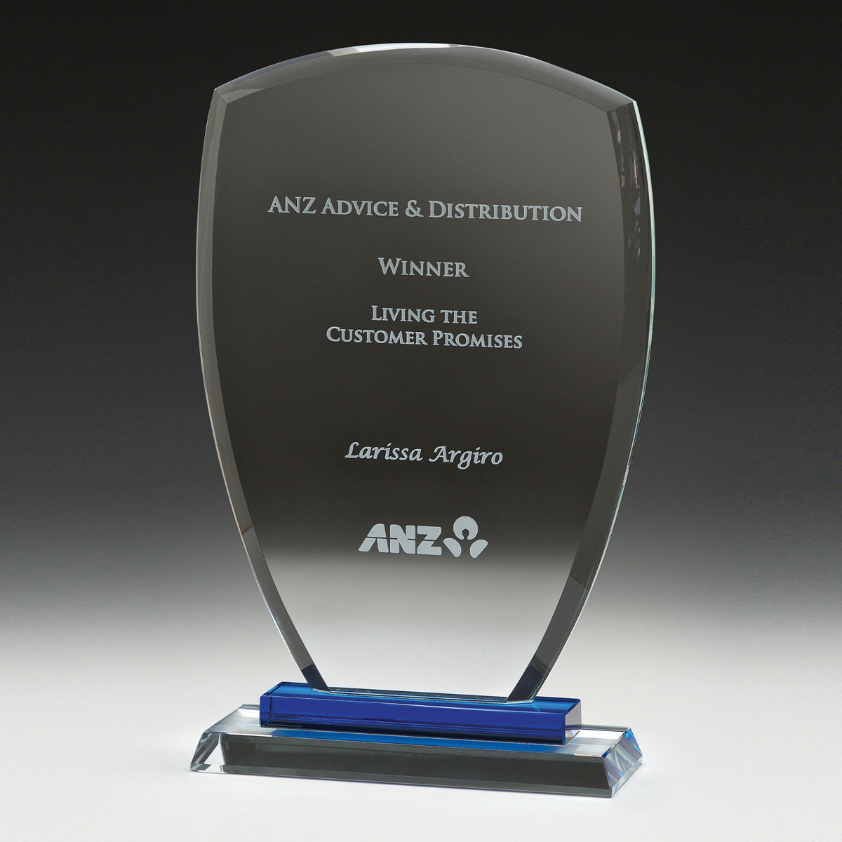 Blue Shield Award 185mm