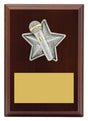 Peak Plaque Public Speaking 150mm