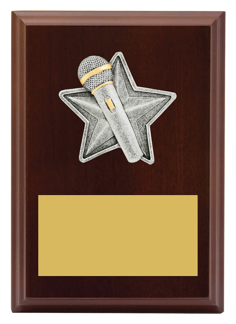 Peak Plaque Public Speaking 150mm