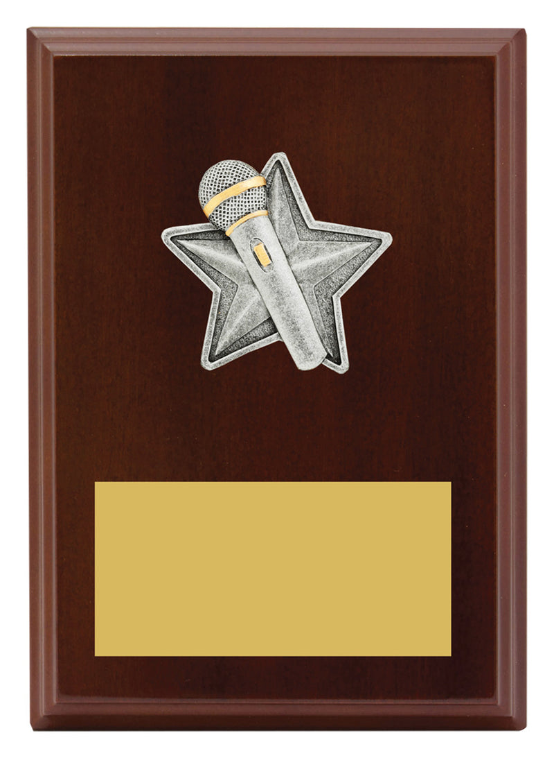 Peak Plaque Public Speaking 175mm